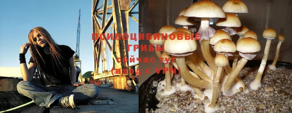 дживик Алзамай