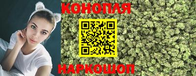 крисы Тверь